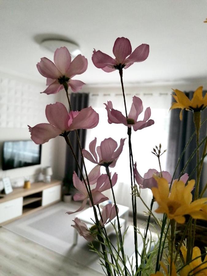Sweet Central Apartment ,In The City Center Erlau Exterior foto